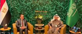 وزيرا البترول السعودي والمصري