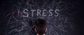 Stress