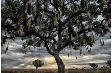 Cloudy sky at dusk in Congo