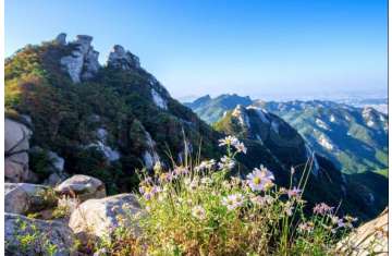 Flower Mountain