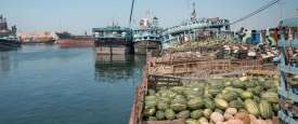 Marine Agency for Wooden Dhows