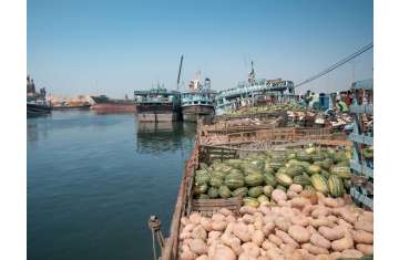 Marine Agency for Wooden Dhows