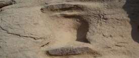 Serpent Yoni-Lingam engraved on rock at Peepal Dhoro