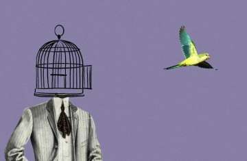 Is free will an illusion?