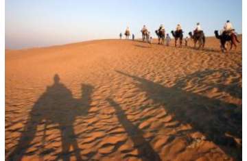 Golden sands